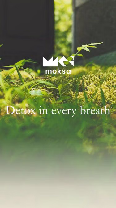 Screenshot of moksa.jp