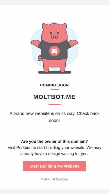 Screenshot of moltbot.me