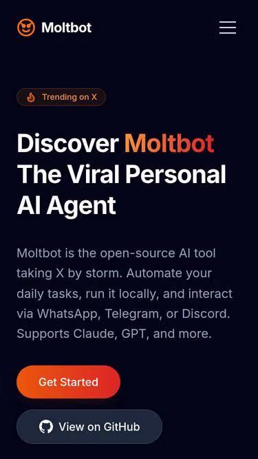Screenshot of molty.run
