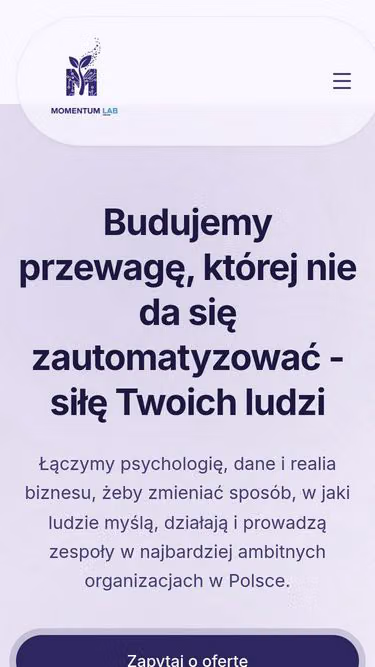 Screenshot of momentumlab.net.pl