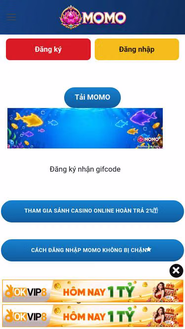 Screenshot of momo-ok.run