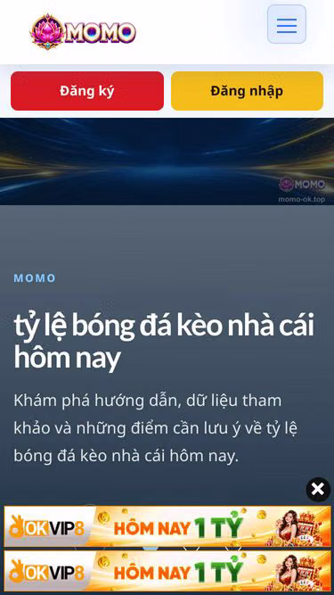 Screenshot of momo-ok.top