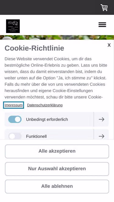 Screenshot of mosart.ch