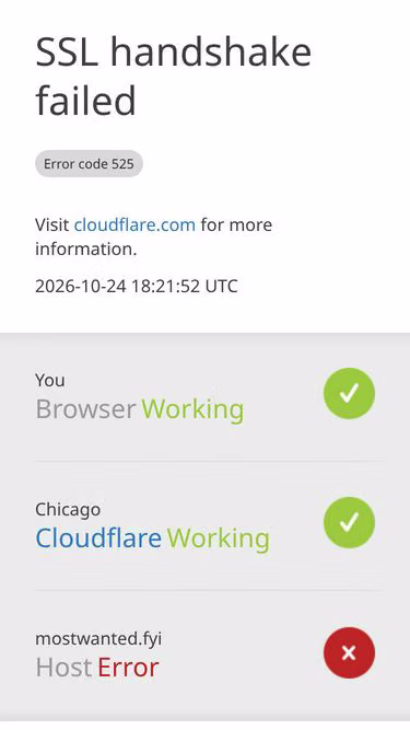 Screenshot of mostwanted.fyi