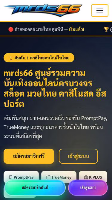 Screenshot of mrds66.click