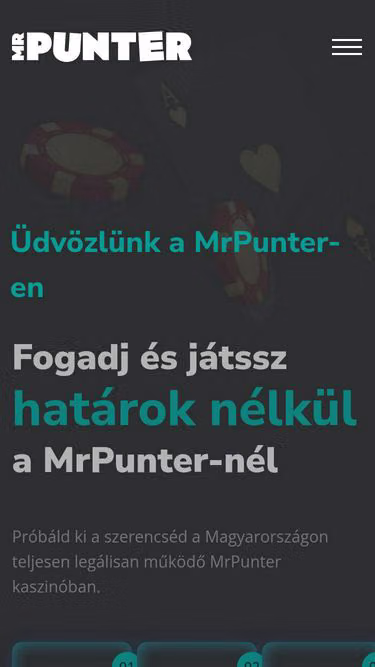 Screenshot of mrpunter.hu