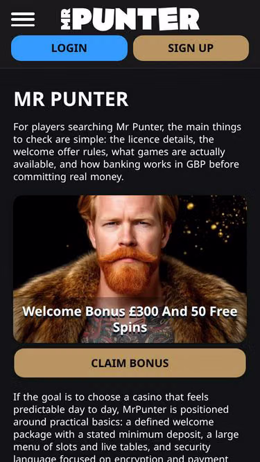 Screenshot of mrpunter.org.uk