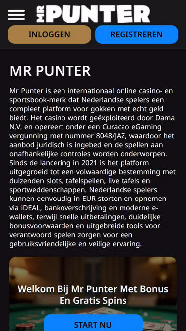 Screenshot of mrpunter.win