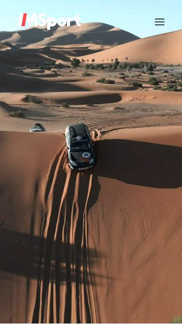 Screenshot of msport.biz