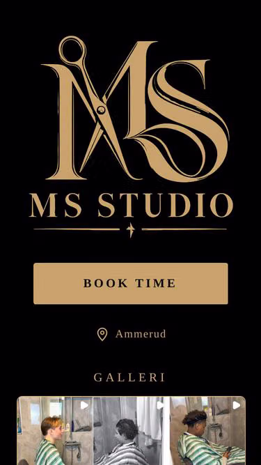 Screenshot of msstudio.no