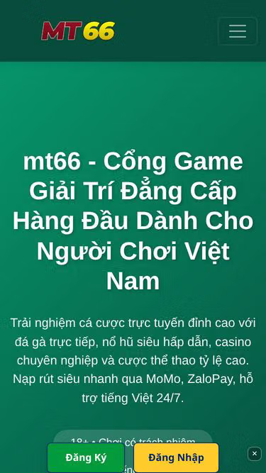 Screenshot of mt66.io