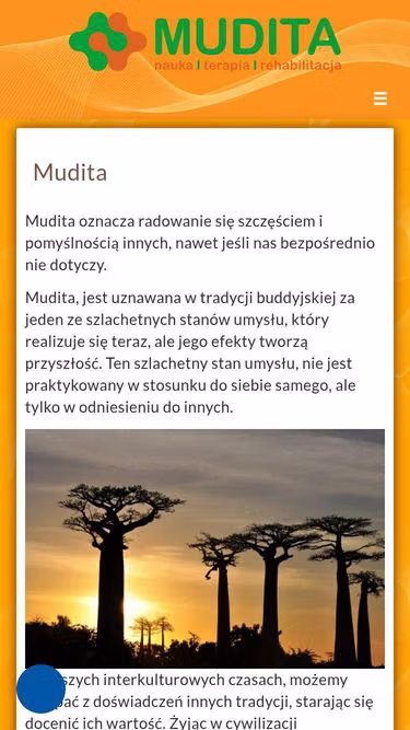 Screenshot of mudita.pl