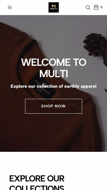 Screenshot of multistore.dev