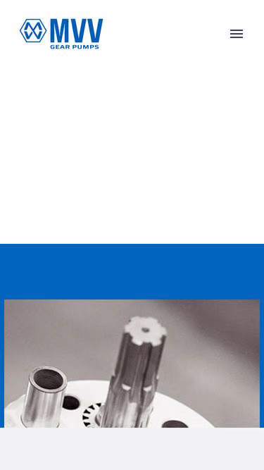 Screenshot of mvv.it