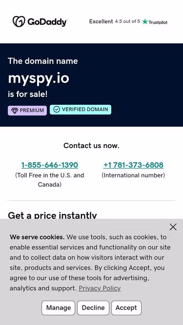 Screenshot of myspy.io