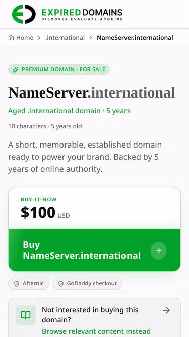 Screenshot of nameserver.international