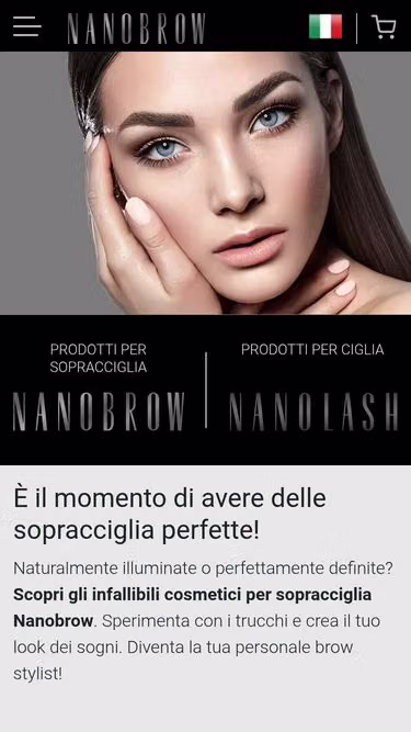 Screenshot of nanobrow.it