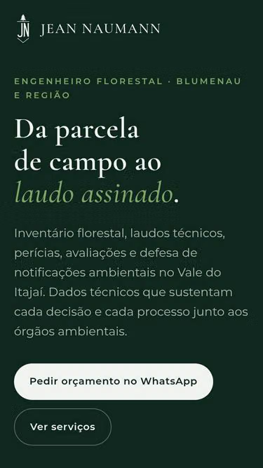 Screenshot of naumann.eng.br