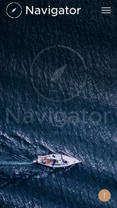 Screenshot of navigator.net.br