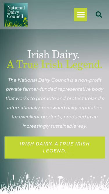 Screenshot of ndc.ie