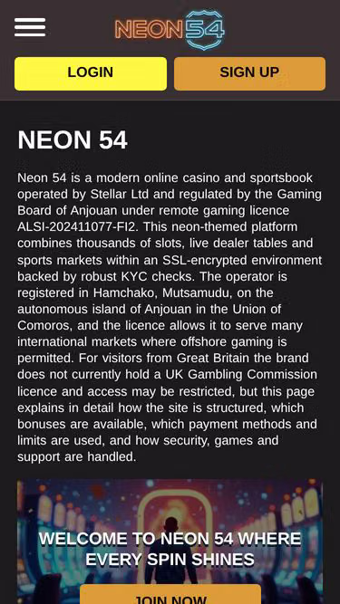 Screenshot of neon54.win