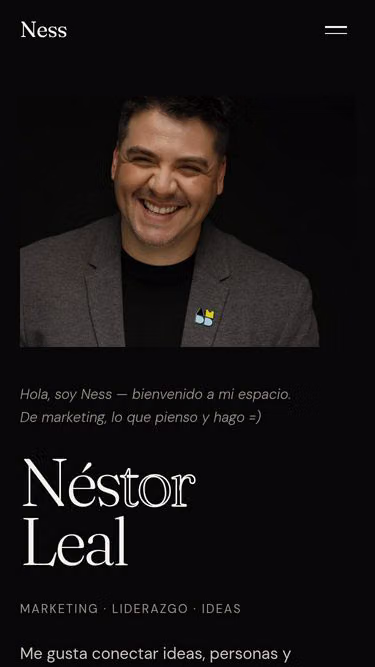 Screenshot of nestor.cl