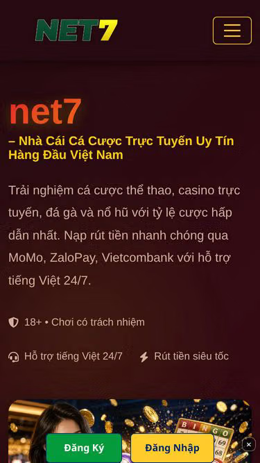 Screenshot of net7.lat