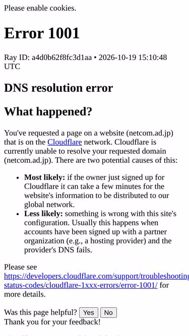 Screenshot of netcom.ad.jp