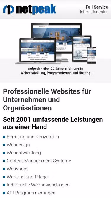 Screenshot of netpeak.biz