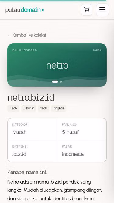 Screenshot of netro.biz.id