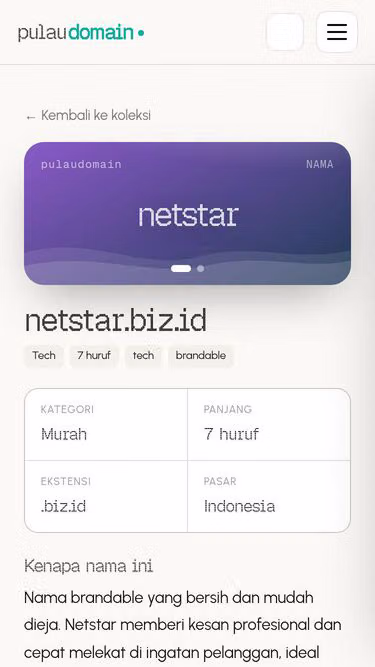 Screenshot of netstar.biz.id