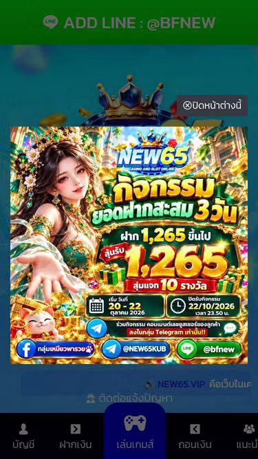 Screenshot of new65.biz