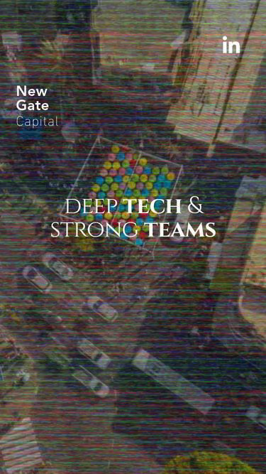 Screenshot of newgate.capital