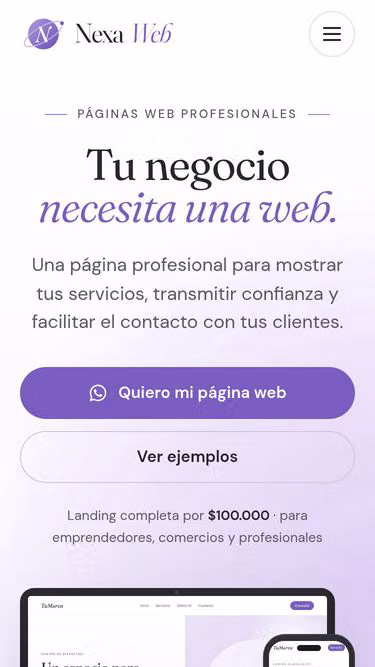 Screenshot of nexaweb.com.ar