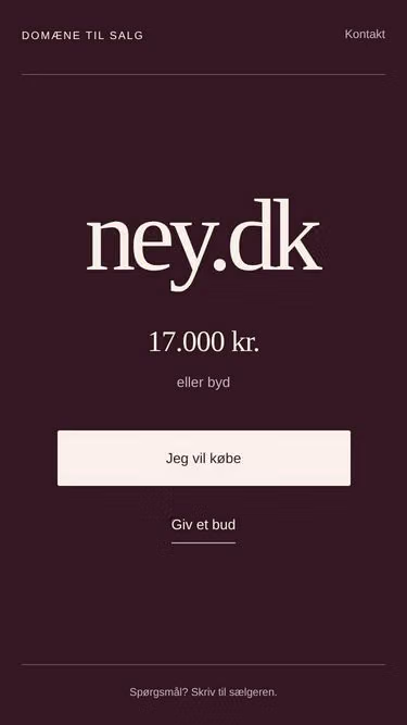 Screenshot of ney.dk