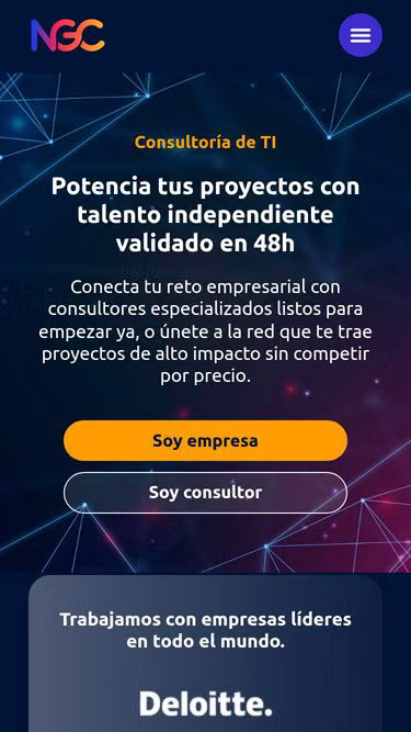 Screenshot of ngc.consulting