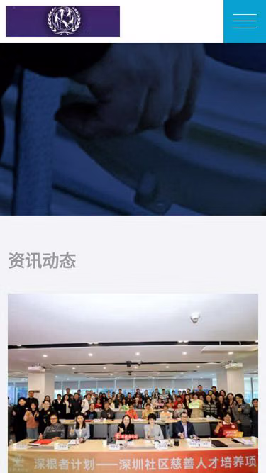 Screenshot of ngo.com.cn