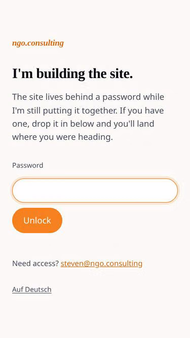 Screenshot of ngo.consulting