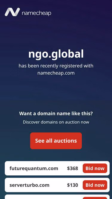 Screenshot of ngo.global
