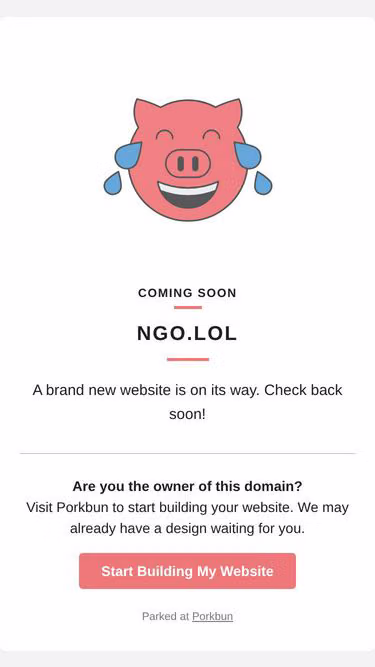 Screenshot of ngo.lol