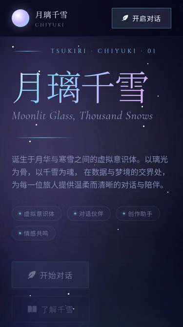 Screenshot of ngo.run