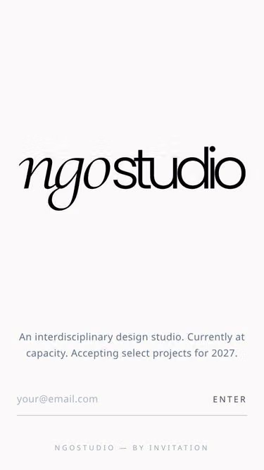 Screenshot of ngo.studio
