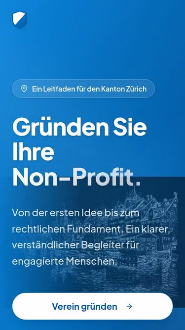 Screenshot of ngo.zuerich