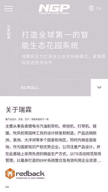 Screenshot of ngp.cn
