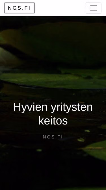 Screenshot of ngs.fi