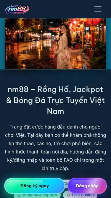 Screenshot of nm88.ws