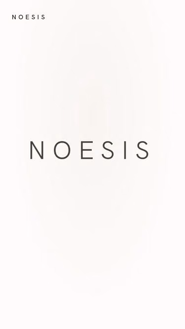 Screenshot of noesis.holdings