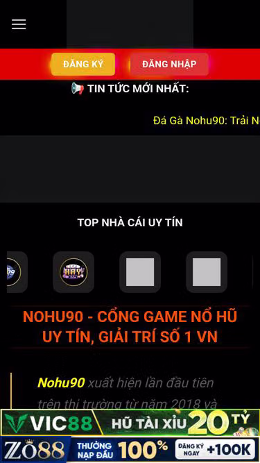 Screenshot of nohu.photos