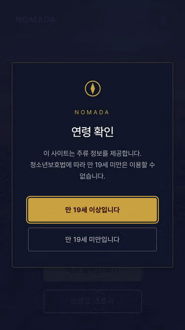 Screenshot of nomada.co.kr