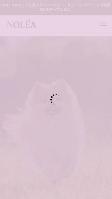 Screenshot of norea.jp